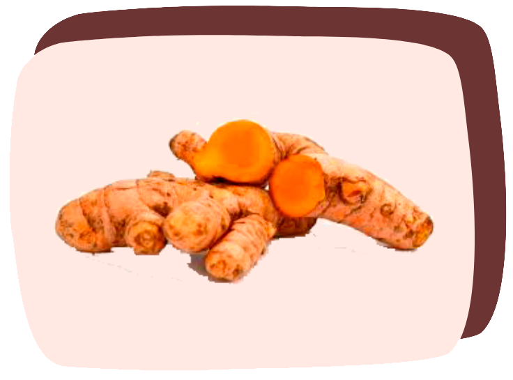 foto de curcuma